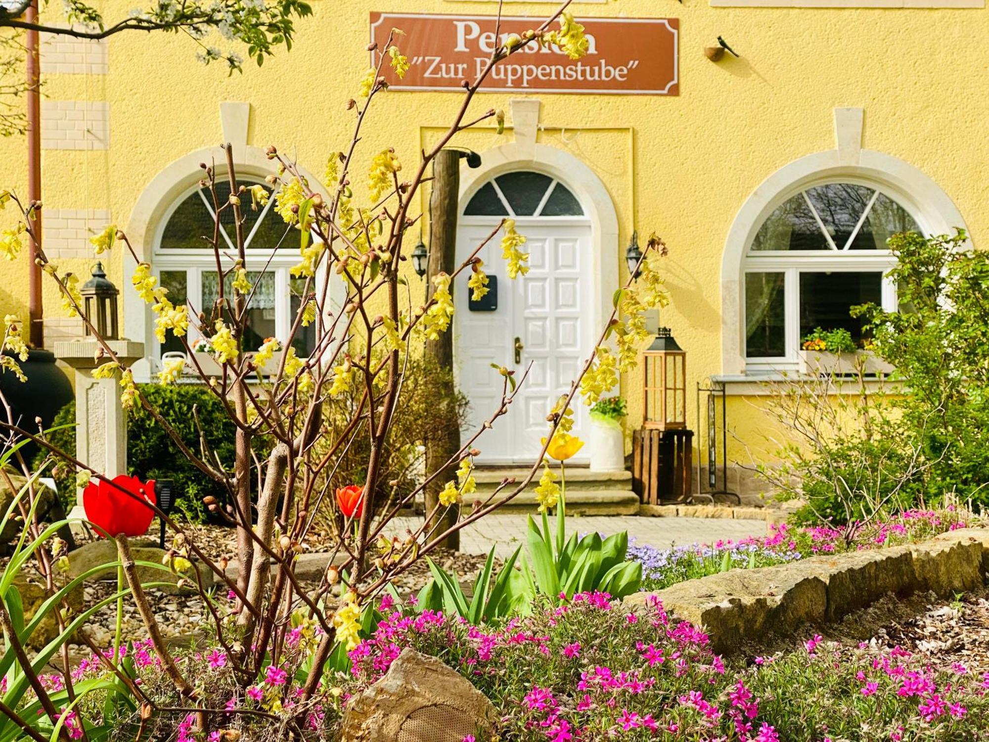 Restaurant Und Pension Zur Puppenstube Stolpen Exterior foto